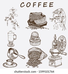 Hand drawn vector illustration set with coffee beans, cup, branch