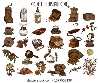 Hand drawn vector illustration set with coffee beans, cup, bag, branch