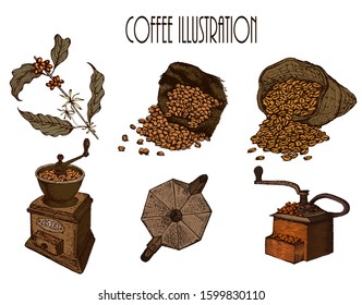 Hand drawn vector illustration set with coffee beans, bag, branch