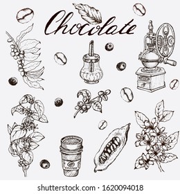 Hand drawn vector illustration set with coffee and cocoa beans, branch