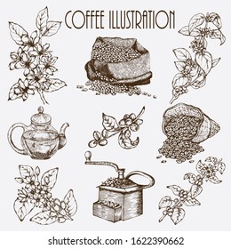 Hand drawn vector illustration set with coffee beans, branch, bag, coffee maker