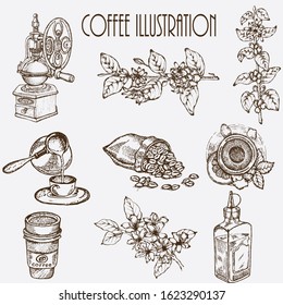 Hand drawn vector illustration set with coffee beans, branch, bag, coffee maker