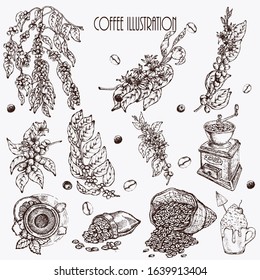 Hand drawn vector illustration set with coffee maker, beans, branch, bag, tea