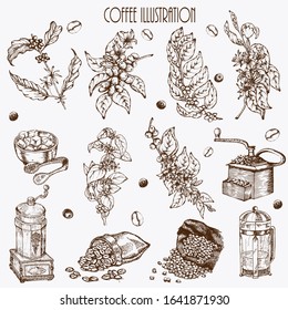 Hand drawn vector illustration set with coffeemaker, beans, branch, bag, glass