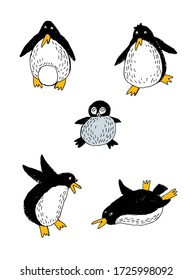 Hand drawn vector illustration set of penguines color
