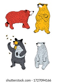 Hand drawn vector illustration set of bears colour