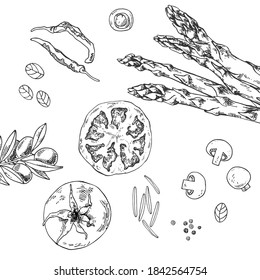 Hand drawn vector illustration set of tomato, asparagus and spices. Isolated monochrome picture of vegetables for design, cooking 