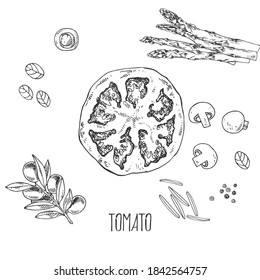 Hand drawn vector illustration set of tomato, asparagus and spices. Isolated monochrome picture of vegetables for design, cooking 