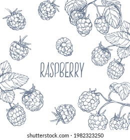 Hand drawn vector illustration set of raspberry. Summer berries, harvest bright fruit. Seasonal dessert. Isolated images for design, packaging, menu