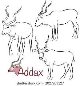 Hand drawn vector illustration. Set character design of cute Addax doodle style.