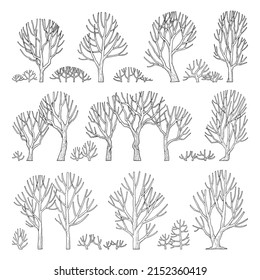 Hand drawn vector illustration set of side view trees isolated on white background.