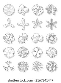 Conjunto de ilustraciones vectoriales dibujadas a mano de árboles de vista superior aislados en fondo blanco.