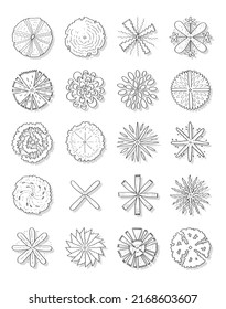 Hand drawn vector illustration set of top view trees isolated on white background.