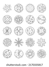 Hand drawn vector illustration set of top view trees isolated on white background.