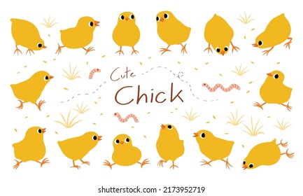 hand drawn vector illustration set of cute chick isolated on white background.