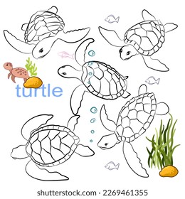 Hand drawn vector illustration. Set characters design of cute turtle doodle style.