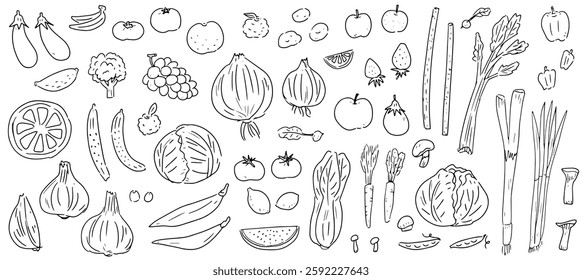 Hand drawn vector illustration set of vegetables and fruits. Line drawing icons of crops.