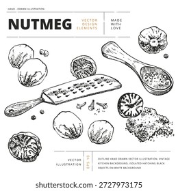 Hand drawn vector illustration set of whole and ground nutmeg with grater and spoon. Vintage engraving style spice elements for packaging, recipes, labels, and culinary design.