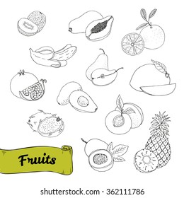 hand drawn vector illustration, a set of exotic fruits. sketch, graphic image