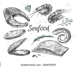Hand drawn vector illustration - Set of seafood (salmon, shrimp, octopus, mussels). Vintage