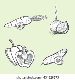 hand drawn vector illustration set of vegetables cucumber, carrot, pepper, onion. vector eps 8