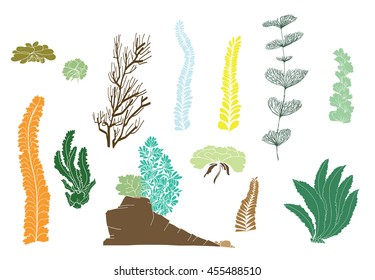 Hand drawn vector illustration - Set with seaweed. Sketch