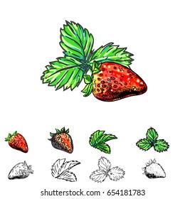 Hand drawn vector illustration set of color and monochrome strawberry, leaf. sketch. Vector eps 8