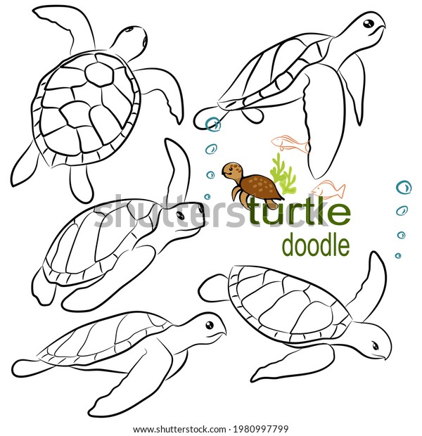  Hand drawn vector illustration. Set\
character design of cute turtle doodle\
style.
