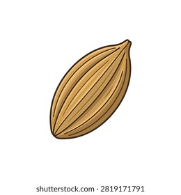 Hand drawn vector illustration of a single aromatic cardamom pod isolated on a white background.