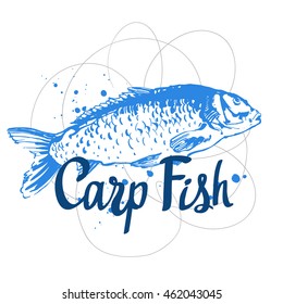 Hand drawn vector illustration with sketch carp. Fish Market. Seafood menu. 