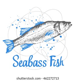 Hand drawn vector illustration with sketch seabass. Fish Market. Seafood menu.  Brush calligraphy elements for your design. Handwritten ink lettering.