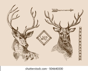 Hand drawn vector illustration sketch of deer.  Boho style. Use for scrapbook, tissue, textile, cloth, fabric, web 