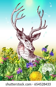 Hand drawn vector illustration sketch of deer and wildflowers.  Boho style. Use for scrapbook, tissue, textile, cloth, fabric, web 