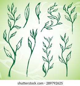 Hand drawn vector illustration, sketching set of vector leaves elements