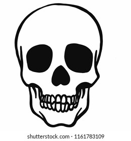 hand drawn vector illustration of a skull with pine in black and white from the front