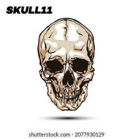 Hand drawn vector illustration of skull isolated on white background.
