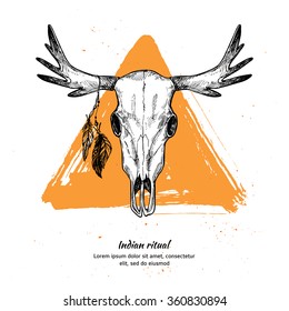 Hand drawn vector illustration - skull of animal with feathers.