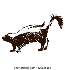 Hand drawn vector illustration of a skunk. Isolated on white. Dark brown on white background
