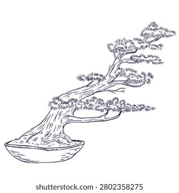 Hand drawn vector illustration of slanting or windswept style bonsai tree with an angled trunk growing to one side in shallow pot, ink sketch isolated on white.