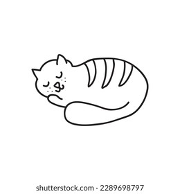 Hand drawn vector illustration sleeping cat. Isolated on white background