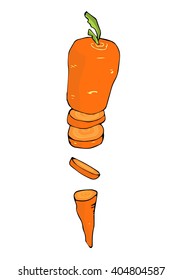Hand drawn vector illustration "Sliced carrot". Cartoon style