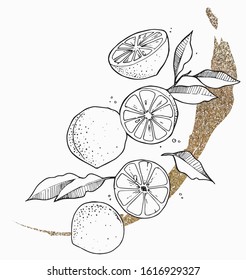 Hand drawn vector illustration of slices of lemon, leaves , and abstract glitter background.