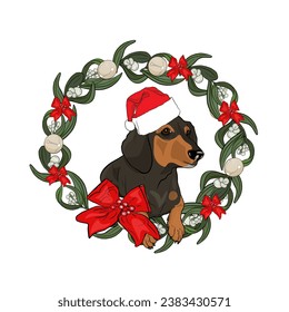 Hand drawn vector illustration A smiling dachshund in a wreath of holly and mistletoe. Dog Santa Claus