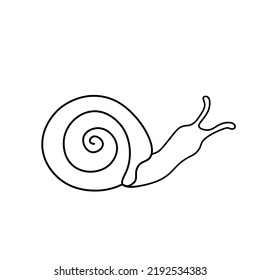 Hand Drawn Vector Illustration Snail Outline Icon.