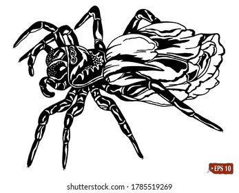 Hand drawn vector illustration of spider with flower tulip on white background. Tattoo, element for design.