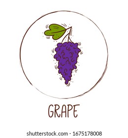 Hand drawn vector illustration of a sprig of grapes with round frame and inscription - Fruit icon isolated
