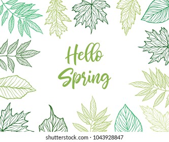 Hand drawn vector illustration. Spring frame with green leaves, herbs and branches. Floral Design elements. Perfect for wedding invitations, greeting cards, blogs, posters and more