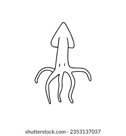 
Hand drawn vector illustration of squid. Isolated on white background