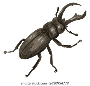 Ilustração de vetor desenhada à mão de um besouro do veado