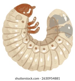 Ilustração de vetor desenhada à mão de um besouro do veado